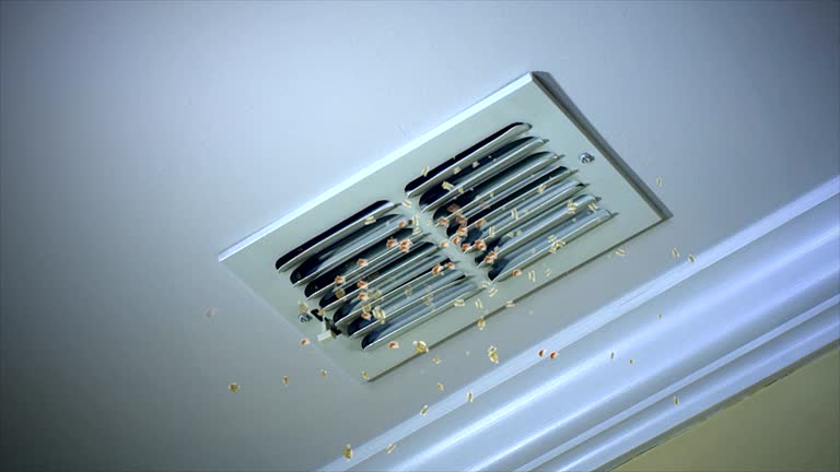 Best Air Duct Cleaning Near Me  in Lakeview, NY